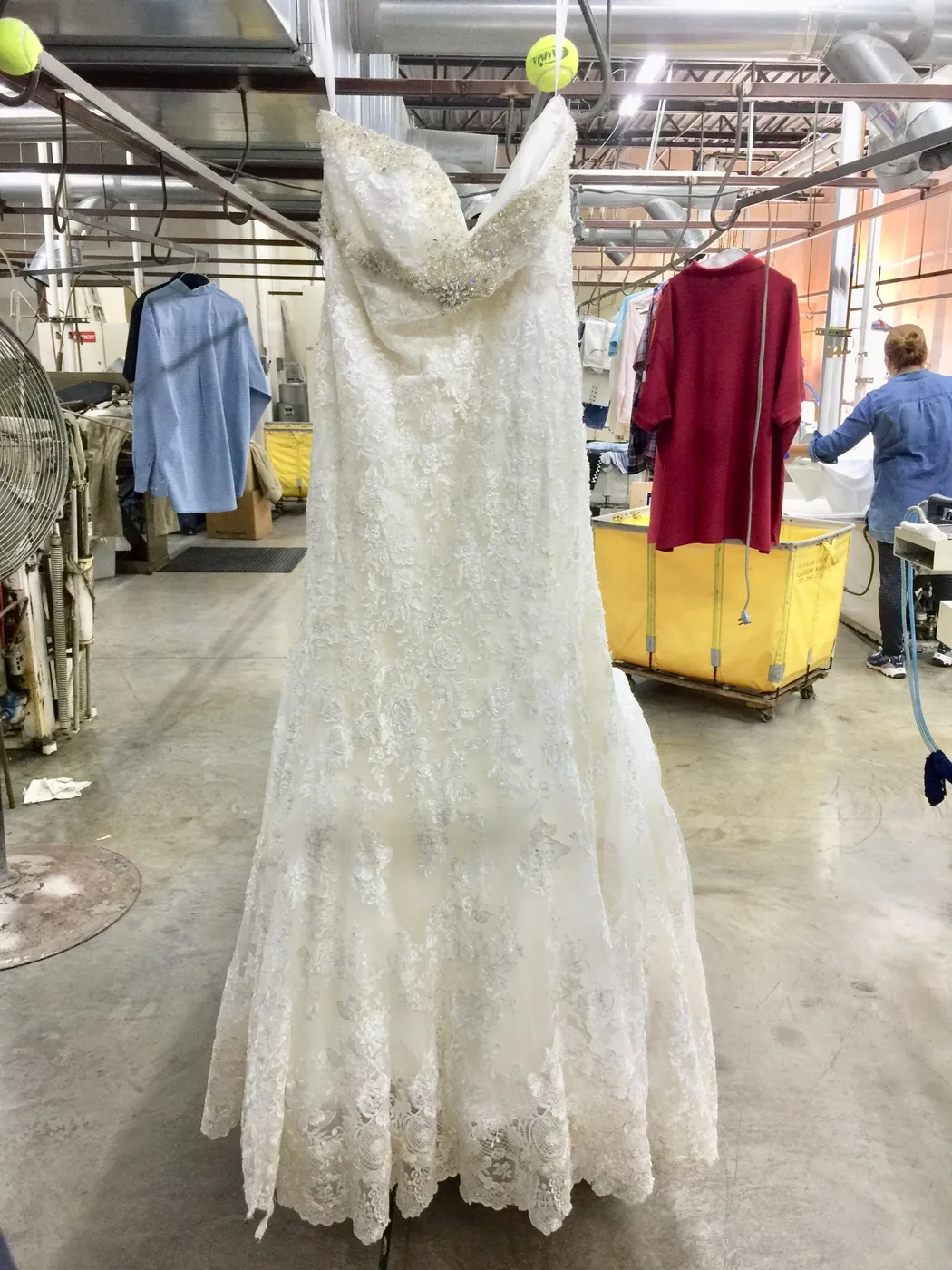 Lace bridal gown inspected under plant lighting